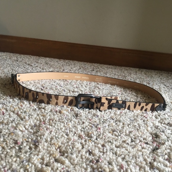 Fossil animal print belt - Picture 1 of 4